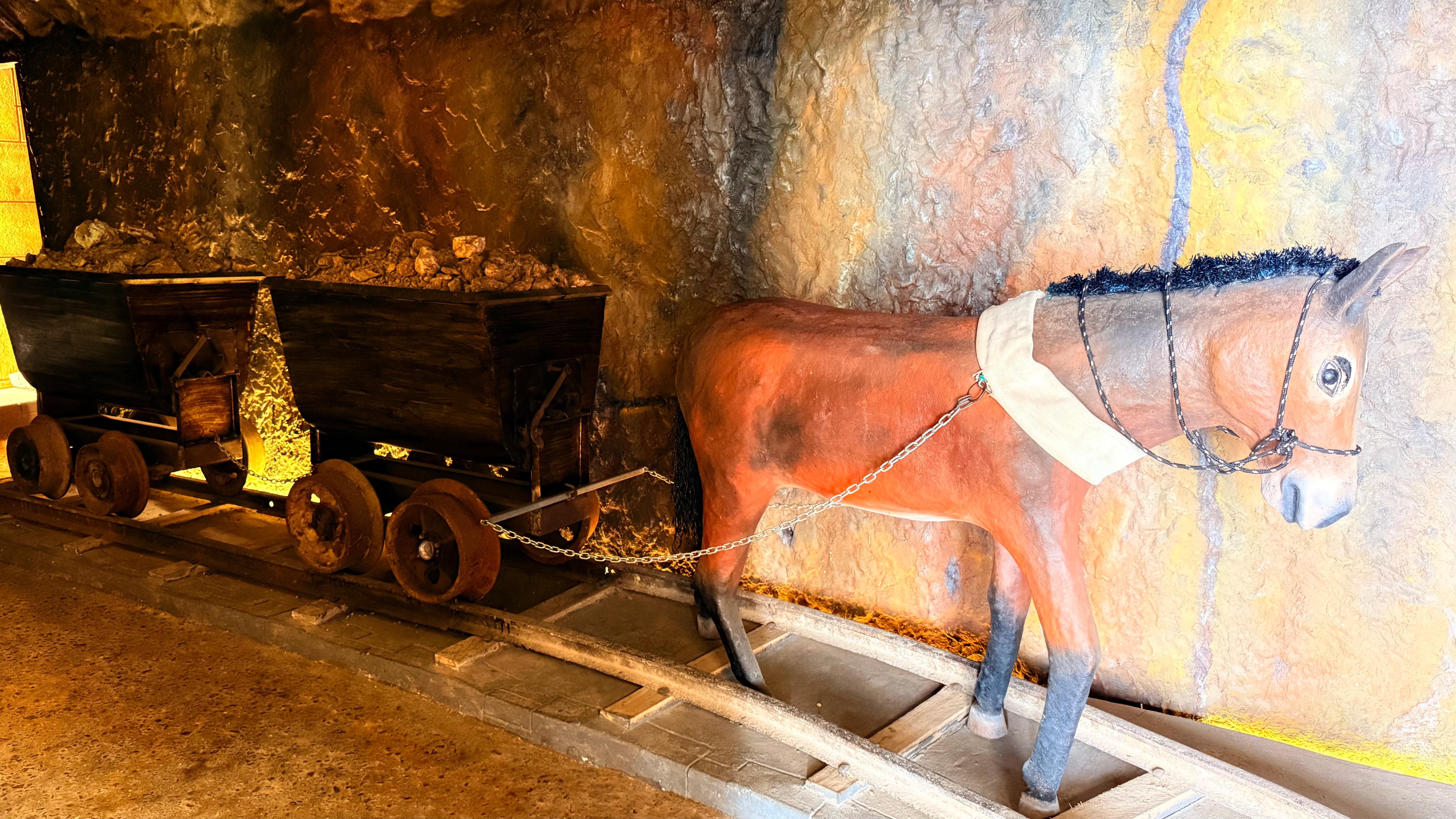 Foto del Museo Minero 34